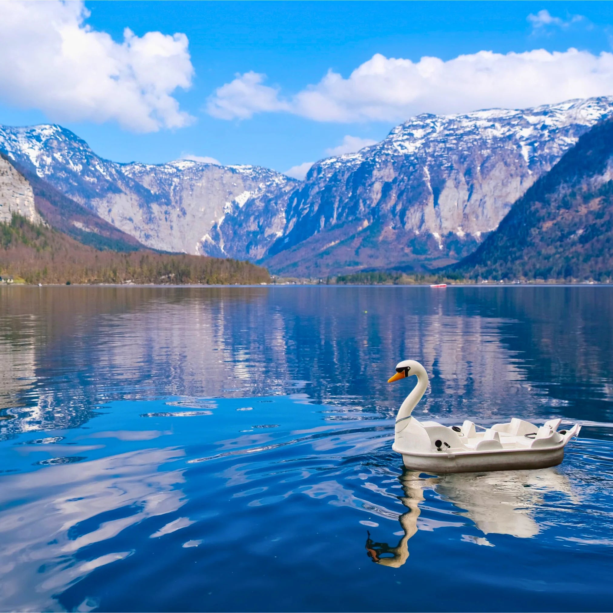 Sake de Swan