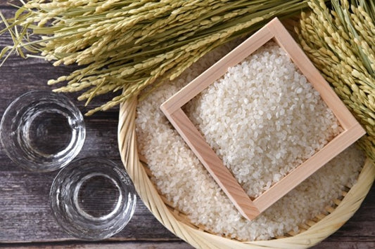 The Secret Of  Rice Used For Brewing Sake