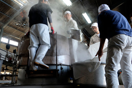 Sake Brewing Process Part 2